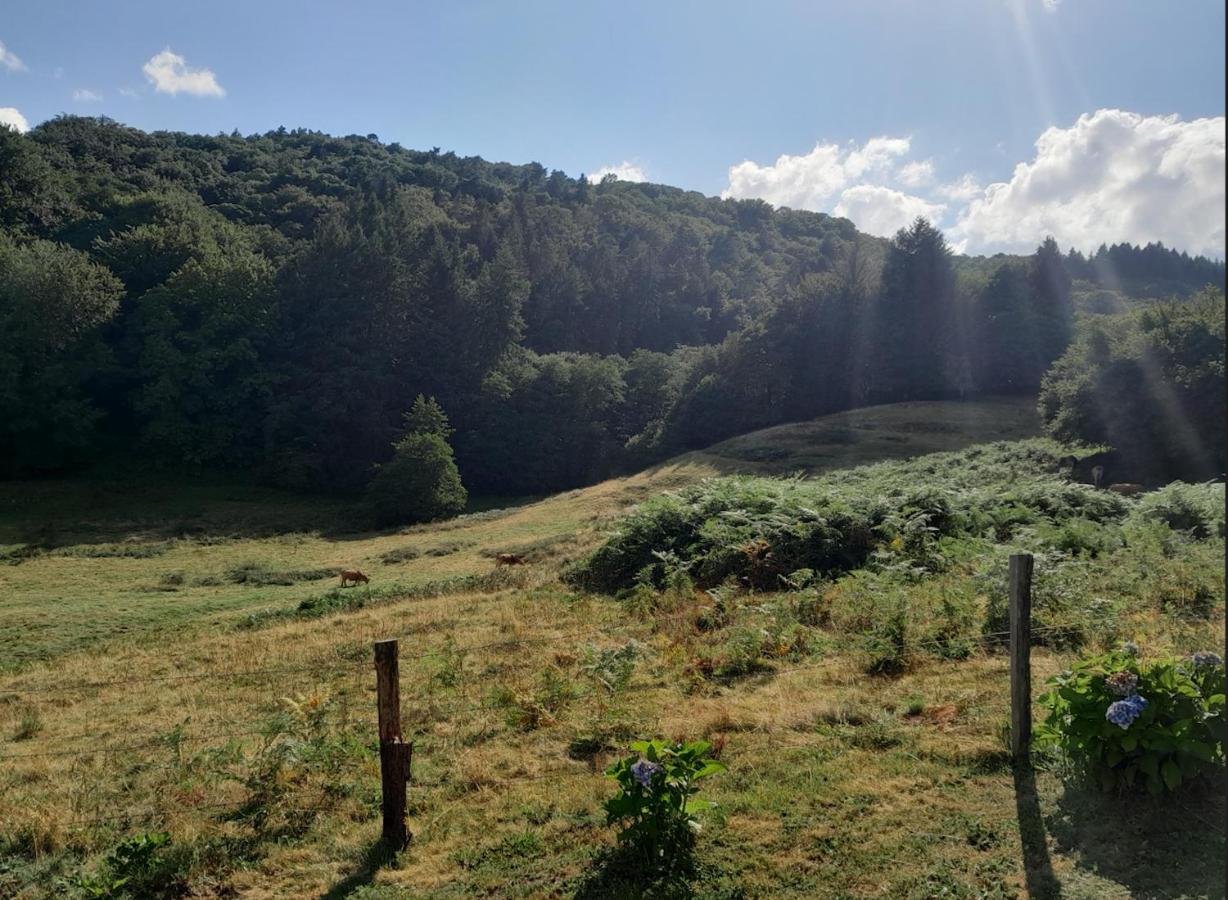 Chalet Charmant A Saint-Sylvestre Avec Terrasse Et Jardin Ambazac Kültér fotó